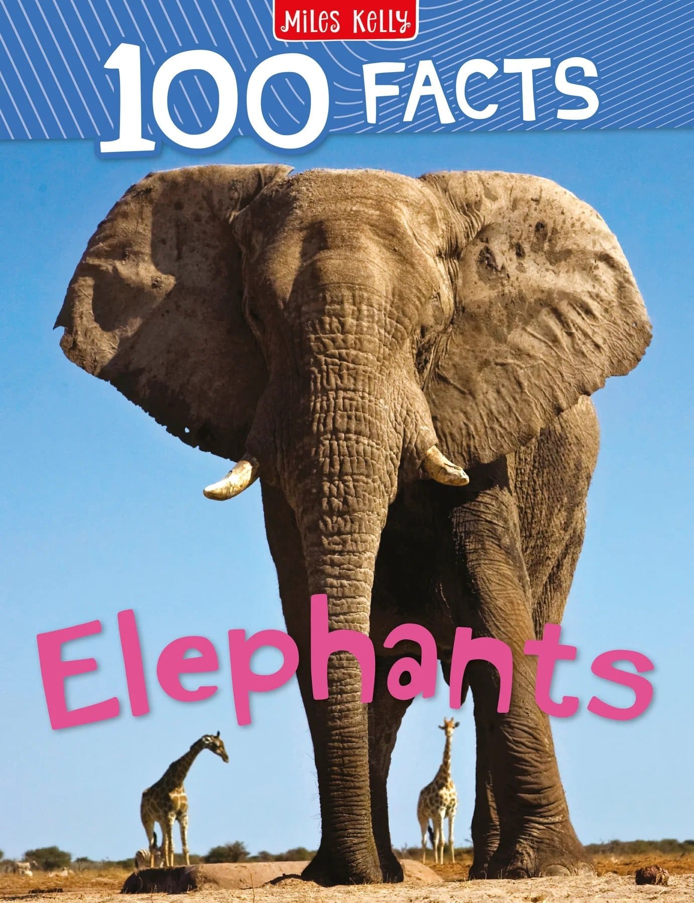 100F-Elephants_2