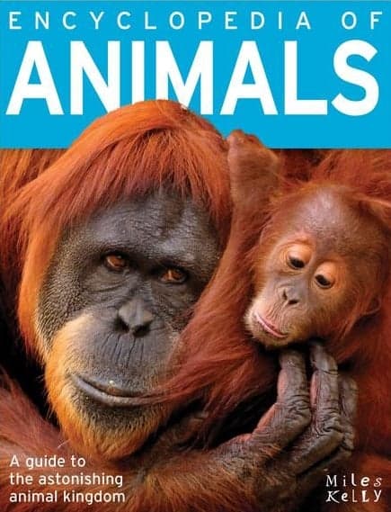 384-Encyclopedia-of-Animals