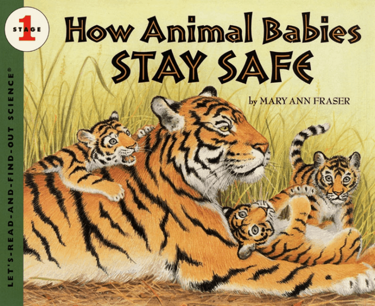How-Animal-Babies-Stay-Safe