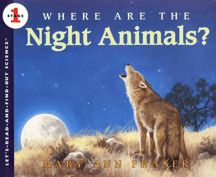 Where-Are-Night-Animals