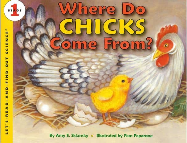 Where-Do-Chicks-Come-From